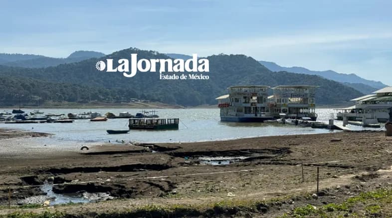 Saneamiento de la presa con lirio acuático